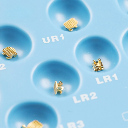 Mini-Gold-Twin-Bracket-System-24-karat-K-Plated-Mesh-Base